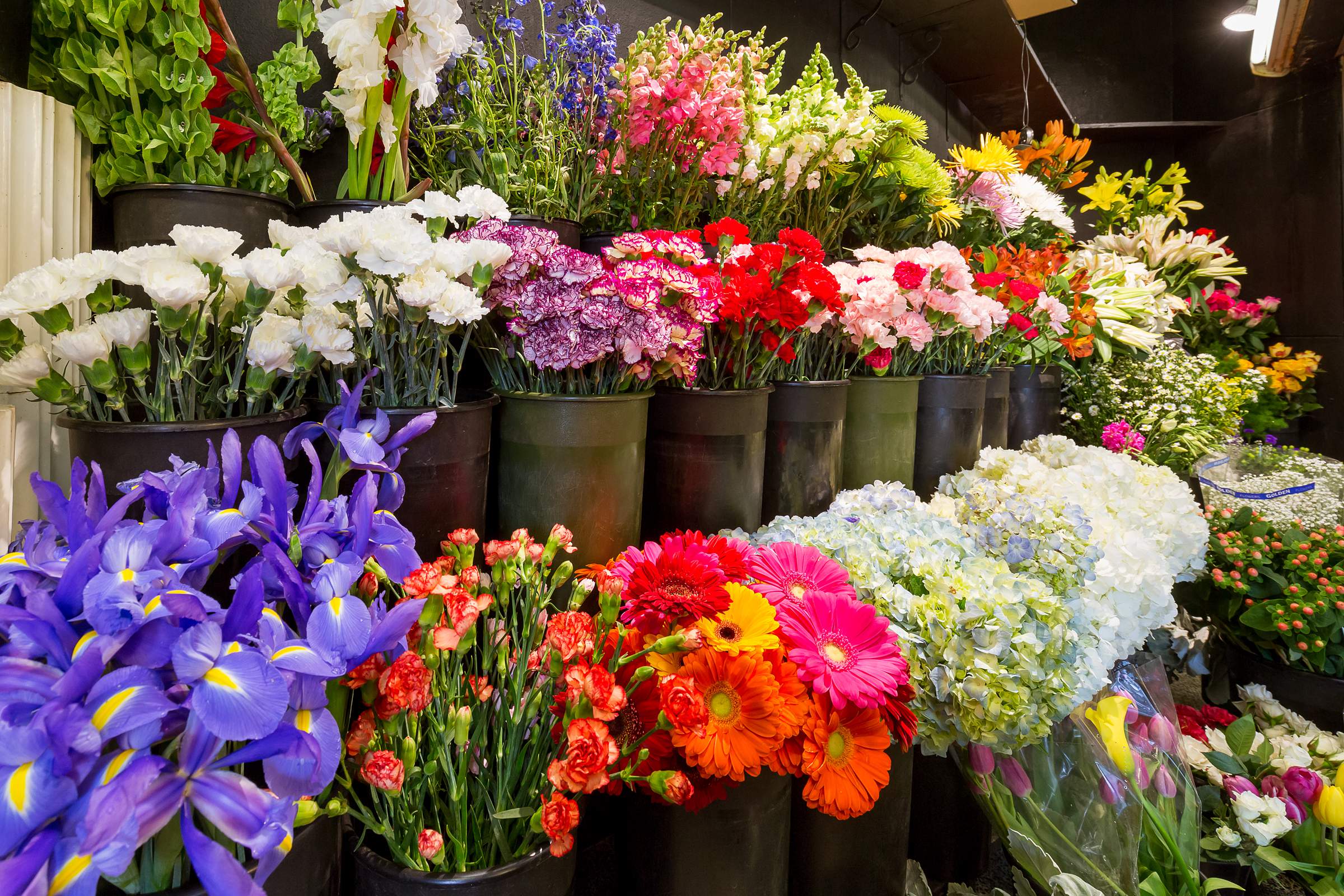 Kloeckner Flower Shop Chicago - Boutique Interior Google 360 Virtual